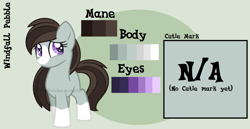 Size: 1526x785 | Tagged: safe, artist:ipandacakes, oc, oc only, oc:windfall pebble, parent:marble pie, parent:trouble shoes, parents:marbleshoes, species:earth pony, species:pony, blaze (coat marking), female, filly, mare, offspring, reference sheet, socks (coat marking), solo