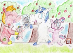Size: 2399x1743 | Tagged: safe, artist:ptitemouette, character:big mcintosh, character:princess flurry heart, character:shining armor, character:smarty pants, oc, oc:big shield, parent:big macintosh, parent:shining armor, parents:shiningmac, gay, magical gay spawn, male, traditional art
