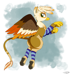 Size: 3233x3423 | Tagged: safe, artist:taurson, oc, oc:ember burd, species:griffon, colored wings, eared griffon, flying, griffon oc, leg warmers, looking back, male, multicolored wings, paws, solo, talons, underpaw