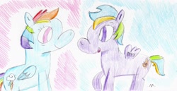 Size: 2665x1372 | Tagged: safe, artist:ptitemouette, character:rainbow dash, oc, oc:speed flash, parent:firefly, parent:rainbow dash, parents:dashfly, female, mother and daughter, next generation