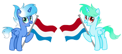 Size: 5400x2368 | Tagged: safe, artist:thesmall-artist, oc, oc only, oc:blue galaxy, oc:water star, species:alicorn, species:pony, flag, male, netherlands, simple background, stallion, transparent background