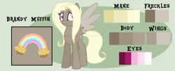 Size: 1938x793 | Tagged: safe, artist:ipandacakes, oc, oc:brandy muffin, parent:derpy hooves, parent:doctor whooves, parents:doctorderpy, species:pegasus, species:pony, female, mare, offspring, reference sheet, solo