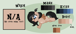 Size: 1369x627 | Tagged: safe, artist:ipandacakes, oc, oc:wren, parent:apple bloom, parent:tender taps, parents:tenderbloom, species:pegasus, species:pony, adopted offspring, amputee, female, filly, reference sheet, solo