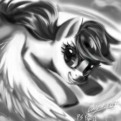 Size: 1000x1000 | Tagged: safe, artist:oofycolorful, character:rainbow dash, species:pegasus, species:pony, female, monochrome, solo
