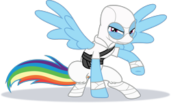 Size: 2467x1484 | Tagged: safe, artist:phucknuckl, character:rainbow dash, species:pegasus, species:pony, episode:best gift ever, g4, my little pony: friendship is magic, clothing, female, g.i. joe, ninja, simple background, solo, storm shadow, transparent background, vector