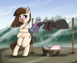 Size: 1836x1512 | Tagged: safe, artist:pencil bolt, oc, oc:karena, species:earth pony, species:pony, blushing, clothes line, clothing, cold, covering, female, implied nudity, miao, mountain, scenery, we don't normally wear clothes, wind