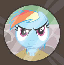 Size: 3400x3467 | Tagged: safe, artist:phucknuckl, character:rainbow dash, species:pegasus, species:pony, female, fisheye lens, looking at you, mare, peephole, solo, unamused