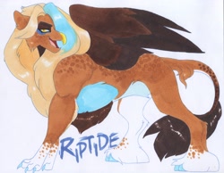 Size: 3780x2928 | Tagged: safe, artist:frozensoulpony, oc, oc only, oc:riptide, parent:gilda, parent:soarin', parents:gildin', species:classical hippogriff, species:hippogriff, cloven hooves, colored claws, colored hooves, hybrid, interspecies offspring, male, mane, marker drawing, offspring, solo, traditional art, unshorn fetlocks