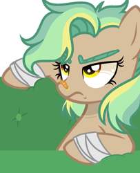 Size: 600x738 | Tagged: safe, artist:thesmall-artist, base used, oc, oc:golden daze, species:pegasus, species:pony, female, mare, simple background, solo