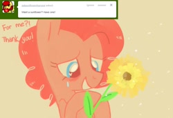Size: 950x650 | Tagged: dead source, safe, artist:dhui, character:pinkie pie, ask, flower, tired pie, tumblr