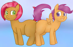 Size: 1000x642 | Tagged: safe, artist:redintravenous, artist:zekromlover, character:babs seed, character:scootaloo, species:pegasus, species:pony, babscoot, butt bump, butt to butt, butt touch, plot