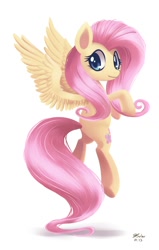 Size: 800x1254 | Tagged: safe, artist:solar-slash, character:fluttershy, female, solo