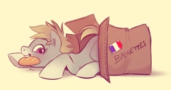 Size: 1631x860 | Tagged: safe, artist:imalou, oc, oc:cookie malou, species:earth pony, species:pony, baguette, bread, cardboard box, food, french, solo