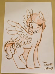 Size: 764x1024 | Tagged: safe, artist:imalou, oc, oc only, species:pegasus, species:pony, photo, traditional art