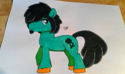 Size: 1200x716 | Tagged: safe, artist:lucas_gaxiola, oc, oc only, species:earth pony, species:pony, earth pony oc, hair over one eye, irl, photo, signature, smiling, solo, traditional art, unshorn fetlocks