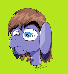 Size: 1792x1928 | Tagged: safe, artist:lucas_gaxiola, oc, oc only, species:donkey, bust, signature, simple background, solo