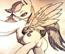 Size: 1024x862 | Tagged: safe, artist:lucas_gaxiola, oc, oc only, species:pegasus, species:pony, bridle, dock, featureless crotch, female, mare, pegasus oc, saddle, signature, solo, tack, traditional art, wings