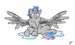 Size: 1448x876 | Tagged: safe, artist:lucas_gaxiola, oc, oc only, species:pegasus, species:pony, grin, pegasus oc, puddle, simple background, smiling, solo, spread wings, wet mane, white background, wings