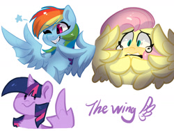 Size: 1600x1200 | Tagged: safe, artist:oofycolorful, character:fluttershy, character:rainbow dash, character:twilight sparkle, character:twilight sparkle (alicorn), species:alicorn, species:pegasus, species:pony, bust, chest fluff, crying, female, hooves together, mare, middle feather, middle finger, one eye closed, open mouth, scared, simple background, smiling, spread wings, teary eyes, trio, vulgar, white background, wing hands, wings, wink