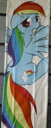 Size: 578x1440 | Tagged: safe, artist:theparagon, character:rainbow dash, species:pegasus, species:pony, body pillow, body pillow design, female, floppy ears, gritted teeth, looking back, mare, merchandise, prone, solo, spread wings, wings, worried