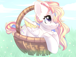 Size: 2732x2048 | Tagged: safe, artist:alphadesu, oc, oc only, oc:rainbow dreams, species:pegasus, species:pony, basket, chest fluff, cute, ear fluff, female, hair over one eye, horn, leonine tail, mare, pegasus oc, pony in a basket, smiling, two toned wings, wings, ych result