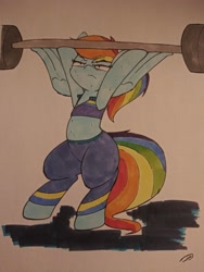 Size: 3072x4096 | Tagged: safe, artist:taurson, character:rainbow dash, species:pony, clothing, female, solo, traditional art, weight lifting, weights