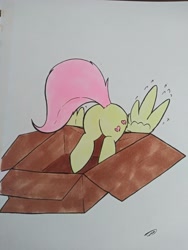Size: 3072x4096 | Tagged: safe, artist:taurson, character:fluttershy, species:pegasus, species:pony, box, butt, cute, female, mare, plot, pony in a box, shyabetes, simple background, solo, traditional art, wings