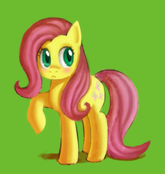 Size: 589x621 | Tagged: safe, artist:mewball, character:fluttershy, species:pegasus, species:pony, g4, blushing, female, mare, photoshop, raised hoof, simple background, solo