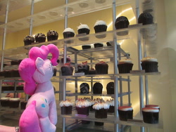 Size: 500x375 | Tagged: safe, artist:template93, character:pinkie pie, cake, food, irl, photo, plushie