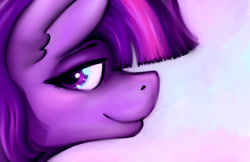 Size: 1224x792 | Tagged: safe, artist:snickerlewdles, character:twilight sparkle, species:pony, g4, bust, female, mare, portrait, profile, smiling, solo