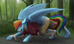 Size: 1221x726 | Tagged: safe, artist:geoffrey mcdermott, artist:tf-sential, character:rainbow dash, species:pegasus, species:pony, g4, all fours, clothing, cutie mark, human to pony, looking back, open mouth, shirt, shorts, smiling, transformation, wings