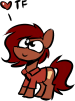 Size: 75x101 | Tagged: safe, artist:tf-sential, oc, oc:penny, species:earth pony, species:pony, g4, female, implied transformation, mare, picture for breezies, polo shirt, solo