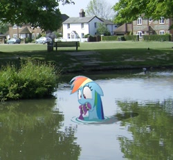 Size: 855x789 | Tagged: safe, artist:kuren247, character:rainbow dash, fish, irl, photo, pond, ponies in real life, solo, water
