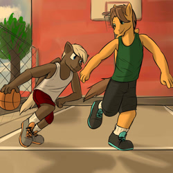 Size: 1280x1280 | Tagged: safe, artist:fuzebox, character:dumbbell, character:hoops, species:anthro, species:plantigrade anthro, basketball, basketball court, clothing, hoop, male, shirt, shoes, shorts, sneakers
