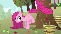 Size: 1280x720 | Tagged: safe, artist:dtkraus, edit, character:pinkamena diane pie, character:pinkie pie, episode:magical mystery cure, g4, my little pony: friendship is magic, apple, applebucking, concentrating, female, prehensile tail, scrunchy face, solo, swapped cutie marks, tentacle tail, wat