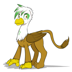 Size: 1280x1280 | Tagged: safe, artist:fuzebox, character:gilda, species:griffon, guilder, male, rule 63, solo