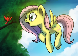 Size: 1910x1367 | Tagged: safe, artist:anticular, character:fluttershy, species:bird, species:pegasus, species:pony, female, flying, mare, open mouth, singing, solo
