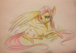 Size: 912x640 | Tagged: safe, artist:probablyfakeblonde, character:fluttershy, species:pegasus, species:pony, colored hooves, female, lying in grass, one eye closed, realistic horse legs, simple background, solo, traditional art, white background