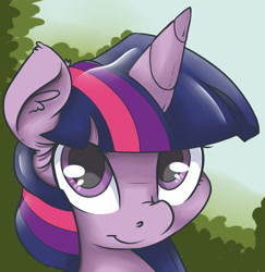Size: 2392x2460 | Tagged: safe, artist:mistydash, character:twilight sparkle, female, looking at you, portrait, puppy dog eyes, shy, smiling, solo, three quarter view