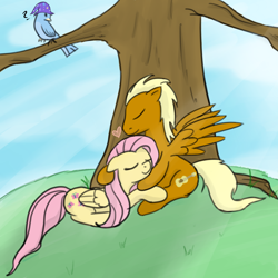 Size: 1000x1000 | Tagged: safe, artist:theparagon, character:fluttershy, species:bird, female, leeroy wingkins, leeroyshy, male, shipping, species swap, straight