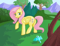 Size: 1021x782 | Tagged: safe, artist:sorcerushorserus, character:fluttershy, species:bird, female, solo