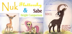 Size: 1298x615 | Tagged: safe, artist:thefriendlyelephant, character:fluttershy, oc, oc:nuk, oc:sabe, antelope, gerenuk, giant sable antelope, grass, height difference, size comparison, traditional art