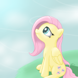 Size: 900x900 | Tagged: safe, artist:theparagon, character:fluttershy, female, solo