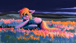 Size: 5000x2869 | Tagged: safe, artist:sharpieboss, character:rainbow dash, female, field, grass, on side, solo