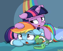 Size: 2675x2168 | Tagged: safe, artist:mistydash, character:rainbow dash, character:tank, character:twilight sparkle, character:twilight sparkle (alicorn), species:alicorn, species:pony, episode:tanks for the memories, g4, my little pony: friendship is magic, clothing, dashie slippers, female, mare, slippers, tank slippers