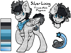 Size: 908x682 | Tagged: safe, artist:iroxykun, oc, oc only, oc:silver lining, species:pegasus, species:pony, comic:trans ponies, bandana, cutie mark, facial hair, male, reference sheet, stallion, wings