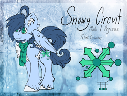 Size: 1024x774 | Tagged: safe, artist:iroxykun, oc, oc only, oc:snowy circuit, species:pegasus, species:pony, clothing, cutie mark, facial hair, freckles, male, reference sheet, scarf, solo, stallion, text, unshorn fetlocks, wings