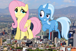 Size: 2500x1667 | Tagged: safe, artist:osipush, artist:sirwarluscake, artist:theotterpony, character:fluttershy, character:trixie, species:pegasus, species:pony, species:unicorn, ship:trixieshy, female, giant pony, irl, lesbian, macro, mare, mexico city, photo, ponies in real life, shipping