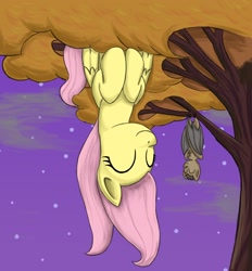 Size: 1966x2118 | Tagged: safe, artist:otakuap, character:fluttershy, species:bat, cute, eyes closed, hanging, hilarious in hindsight, night, sky, smiling, stars, tree, upside down