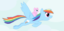 Size: 3874x1895 | Tagged: safe, artist:fluffsplosion, character:rainbow dash, fluffy pony, fluffy pony original art